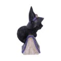 Pocus Small Witches Familiar Black Cat and Spellbook Figurine Figurines Small (Under 15cm) 8