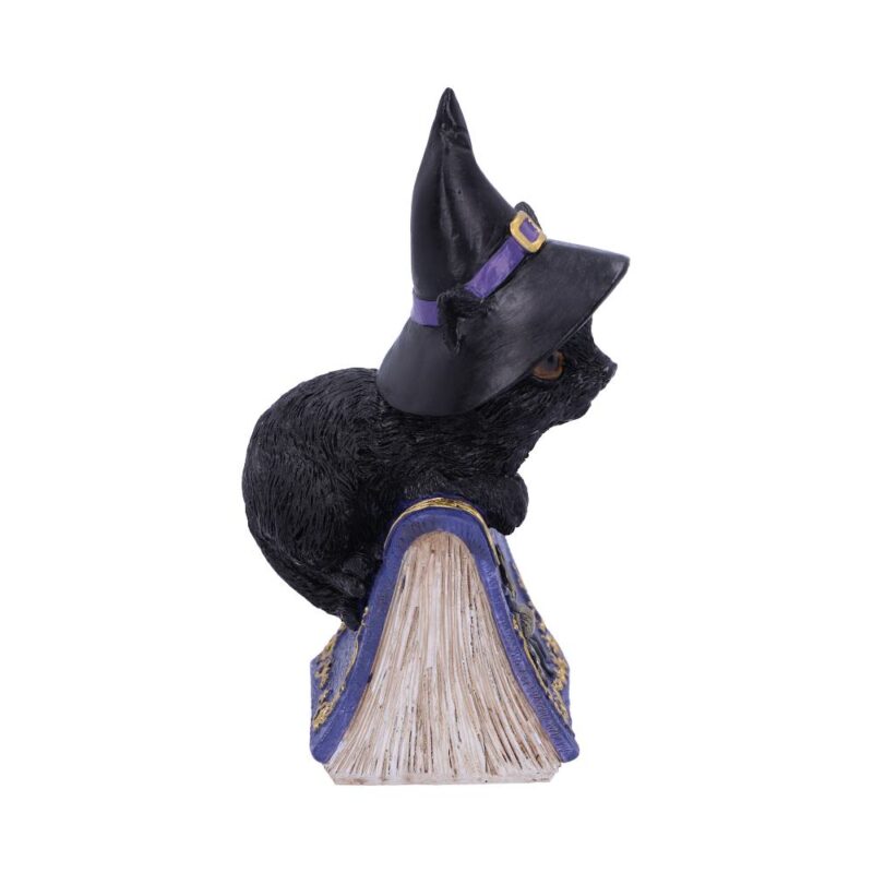 Pocus Small Witches Familiar Black Cat and Spellbook Figurine Figurines Small (Under 15cm) 7