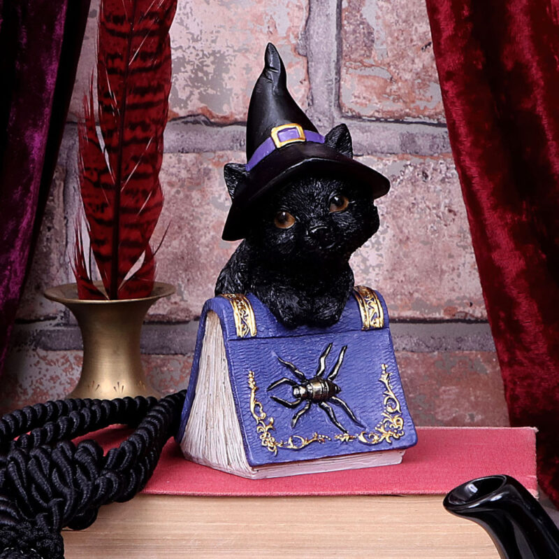 Pocus Small Witches Familiar Black Cat and Spellbook Figurine Figurines Small (Under 15cm) 9