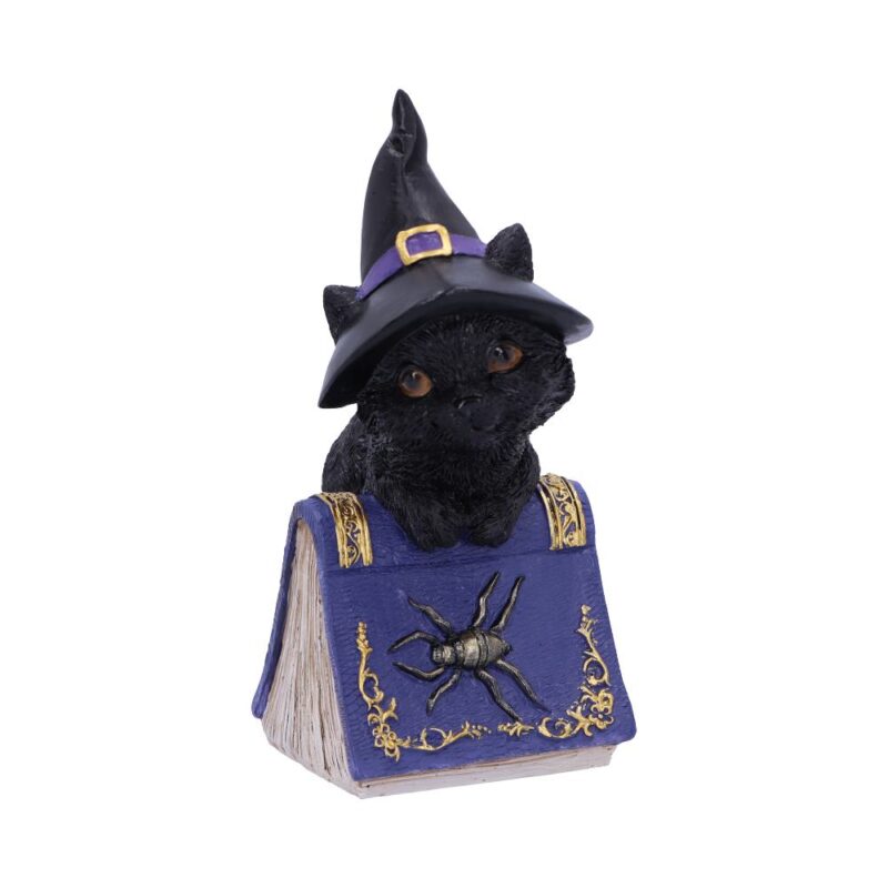 Pocus Small Witches Familiar Black Cat and Spellbook Figurine Figurines Small (Under 15cm)