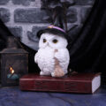 Snowy Magic Witch Owl Familiar Figurine Figurines Medium (15-29cm) 10