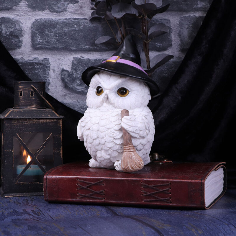 Snowy Magic Witch Owl Familiar Figurine Figurines Medium (15-29cm) 9