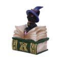 Binx Small Witches Familiar Black Cat and Spellbook Figurine Box Boxes & Storage 4