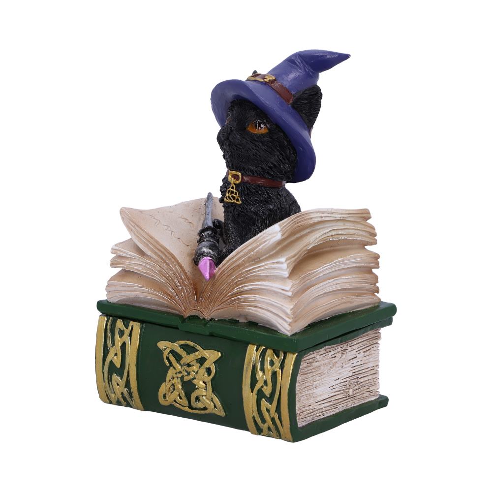 Binx Small Witches Familiar Black Cat and Spellbook Figurine Box Boxes & Storage 2