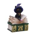 Binx Small Witches Familiar Black Cat and Spellbook Figurine Box Boxes & Storage 2