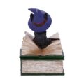 Binx Small Witches Familiar Black Cat and Spellbook Figurine Box Boxes & Storage 8