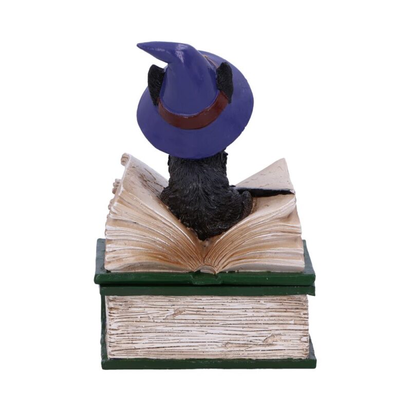 Binx Small Witches Familiar Black Cat and Spellbook Figurine Box Boxes & Storage 7