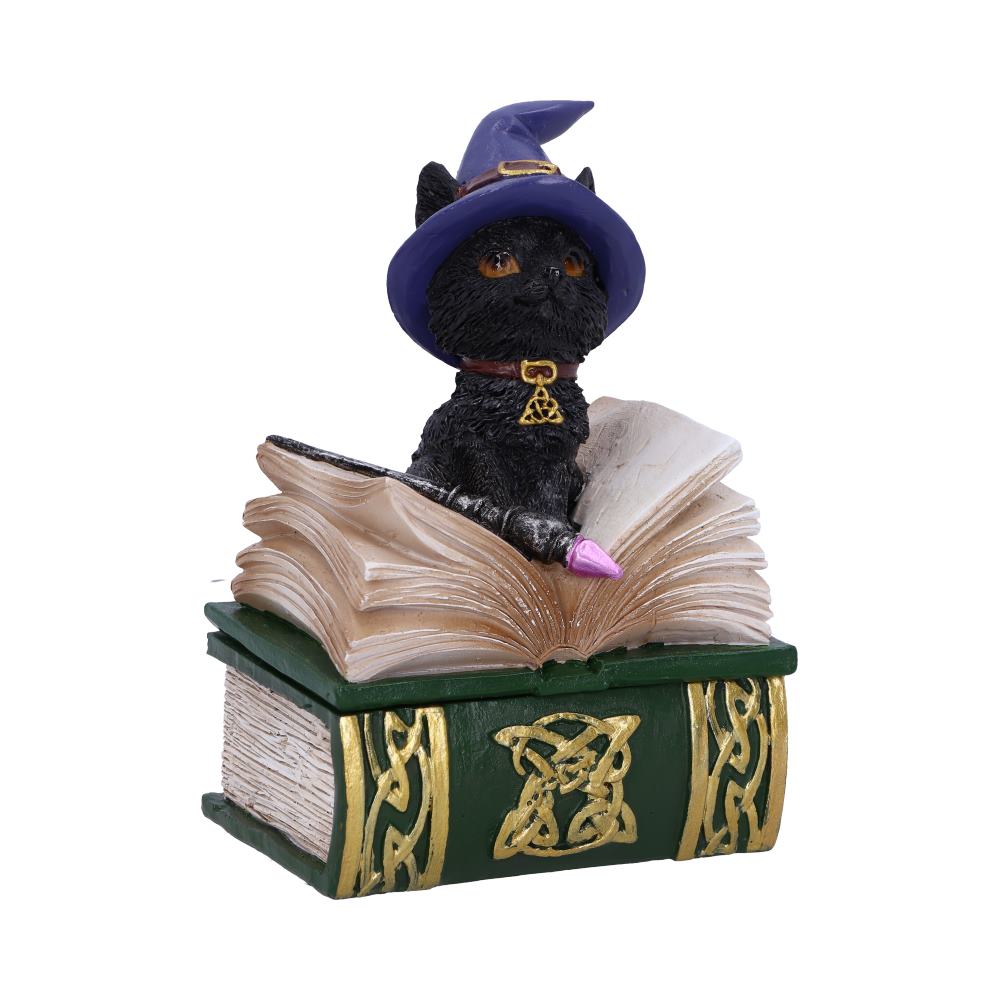 Binx Small Witches Familiar Black Cat and Spellbook Figurine Box Boxes & Storage
