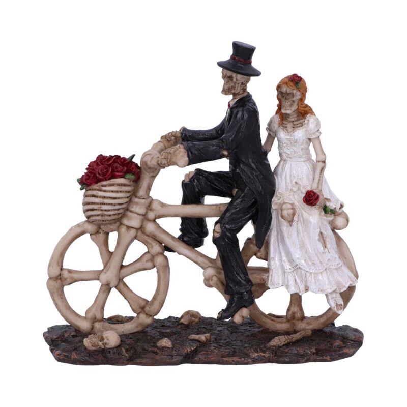 Hitch a Ride Bicycle Riding Skeleton Lovers Wedding Figurine Figurines Small (Under 15cm)