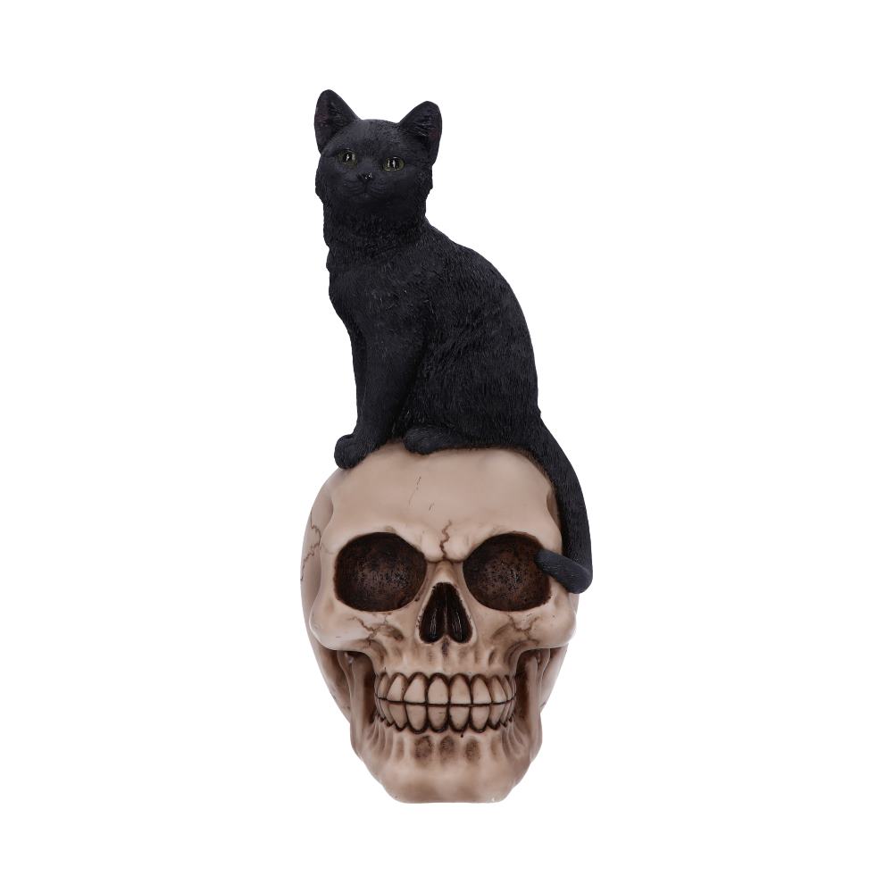 Familiar Fate 24.3cm Black Witches Cat and Skull Figurine Figurines Medium (15-29cm) 2