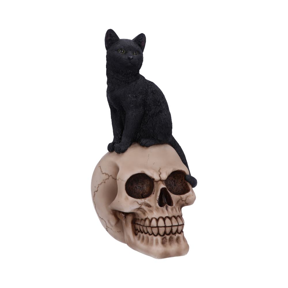 Familiar Fate 24.3cm Black Witches Cat and Skull Figurine Figurines Medium (15-29cm)