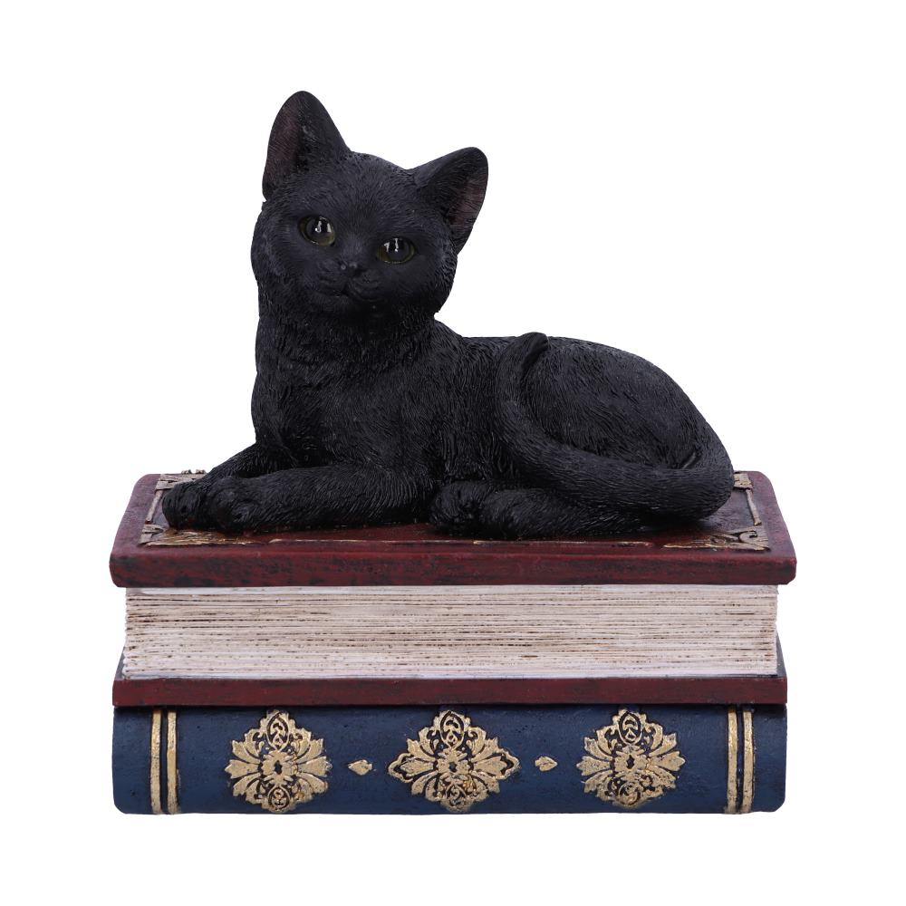 Salems Spells Witches Familiar Black Cat and Spellbook Box Boxes & Storage