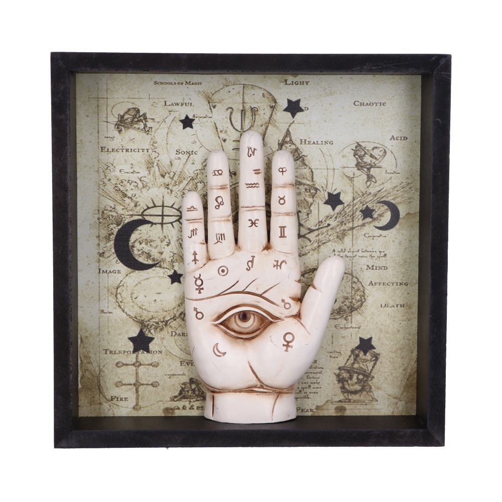 Palmistry Companion Framed Chiromancy Wall Mounted Art Home Décor