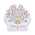 Palmist’s Guide White Chiromancy Hands Candle Holder Candles & Holders 2