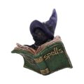 Kitty’s Grimoire Figurine in Green 8.2cm Figurines Small (Under 15cm) 4