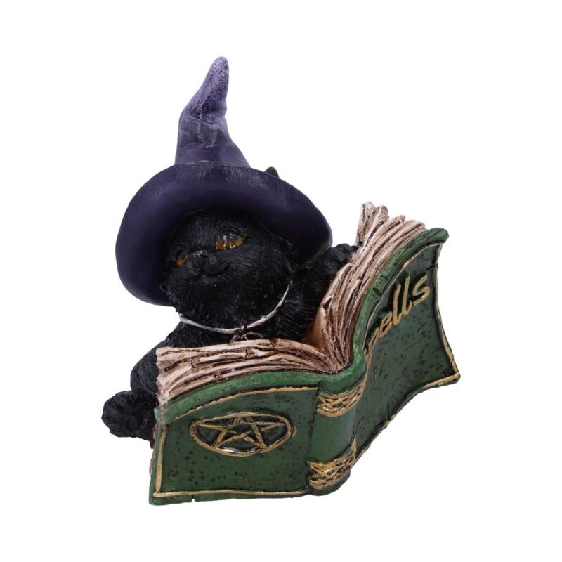Kitty’s Grimoire Figurine in Green 8.2cm Figurines Small (Under 15cm)