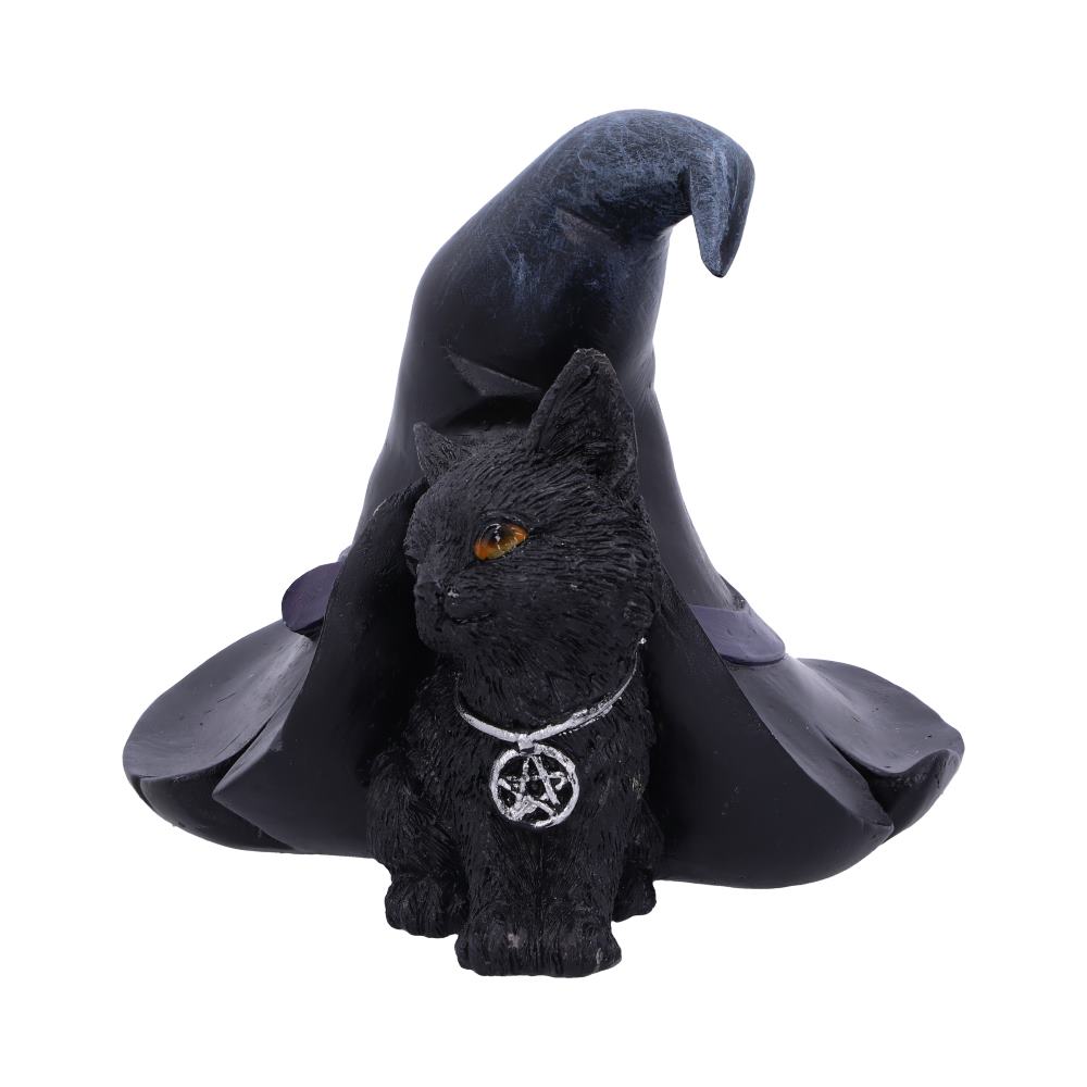 Nemesis Now Witches Cat and Hat Figurine 10.5cm Figurines Small (Under 15cm) 2