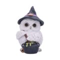 Owl Potion Figurine 17.5cm Figurines Medium (15-29cm) 2