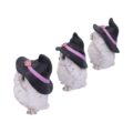 Three Wise Feathered Familiars 9cm Figurines Small (Under 15cm) 4