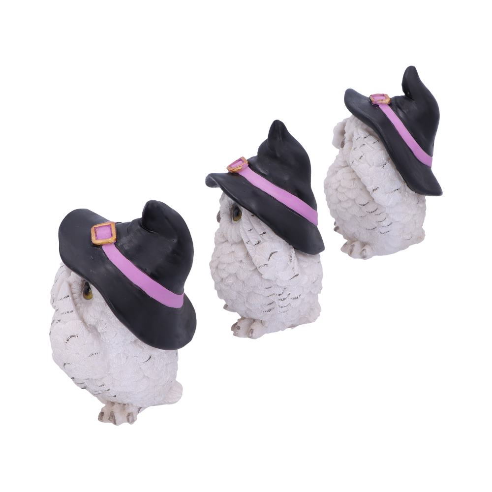 Three Wise Feathered Familiars 9cm Figurines Small (Under 15cm) 2