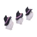 Three Wise Feathered Familiars 9cm Figurines Small (Under 15cm) 8