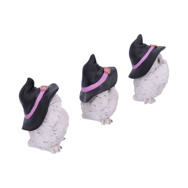 Three Wise Feathered Familiars 9cm Figurines Small (Under 15cm) 7