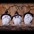 Three Wise Feathered Familiars 9cm Figurines Small (Under 15cm) 10