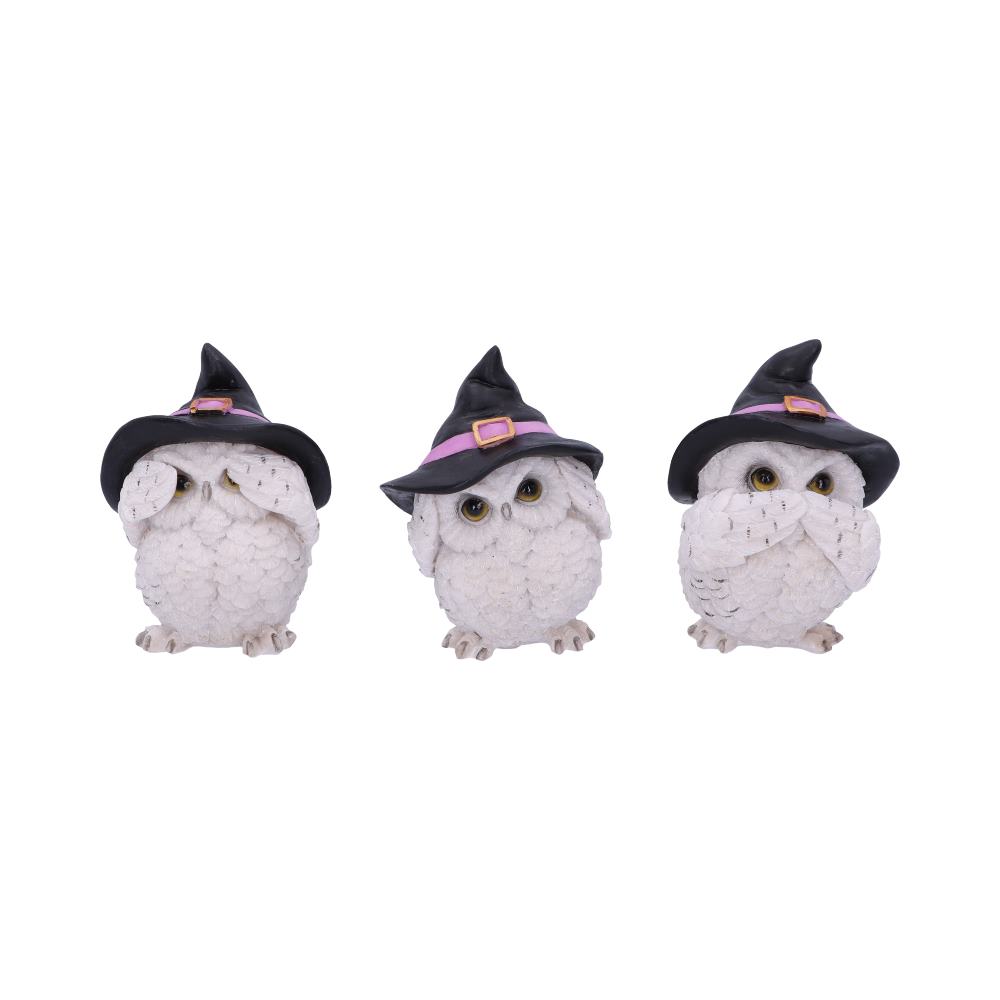 Three Wise Feathered Familiars 9cm Figurines Small (Under 15cm)