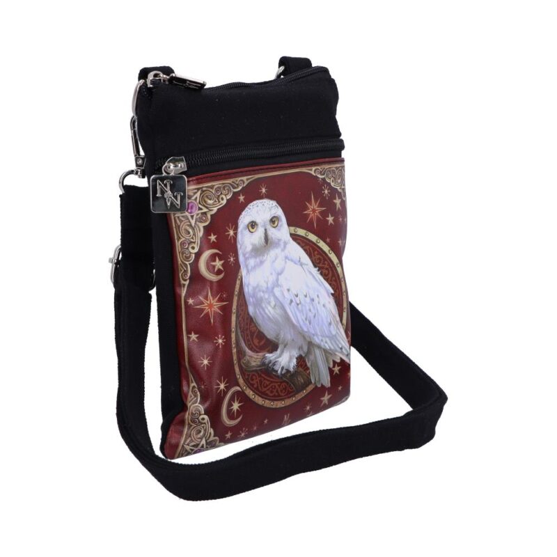 Magical Flight Owl Shoulder Bag 23cm Bags 9