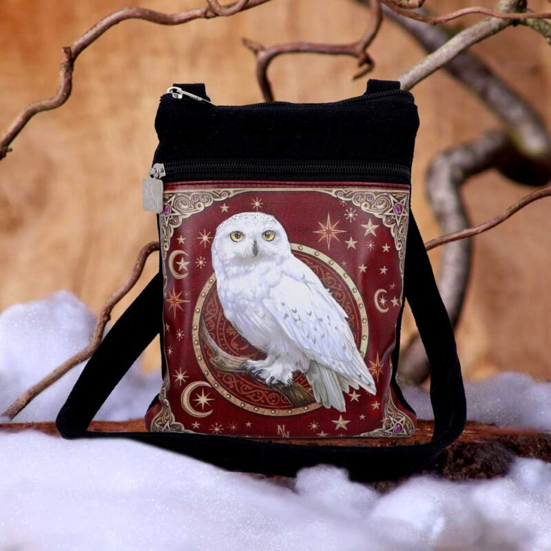 Magical Flight Owl Shoulder Bag 23cm Bags 3