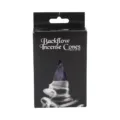 Backflow Incense Cones (pack of 20) Lavender Scented Homeware 10