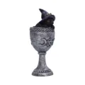 Coven Cup Black Cat Ornament 15.7cm Figurines Medium (15-29cm) 10