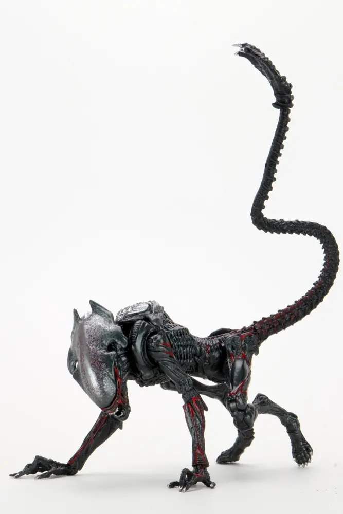NECA Aliens Kenner Tribute 7 Inch Scale Action Figure – Night Cougar Alien 7" Figures 3 NECA Aliens Kenner Tribute 7 Inch Scale Action Figure – Night Cougar Alien 7" Figures 3