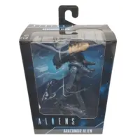 Aliens vs Predator Arachnoid 7″ Scale Action Figure 7" Figures