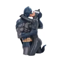 DC Batman and Catwoman Collectible Bust Officially Licensed 30cm Figurines Large (30-50cm)