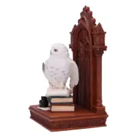 The Scribe’s Companion Enchanting Owl Ornament 23.5cm Figurines Medium (15-29cm) 2