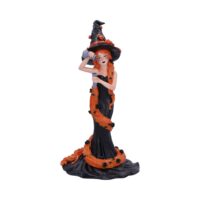 Nemesis Now Cinnamon Sugar & Spice Witch Figurine 23.5cm Figurines Medium (15-29cm)