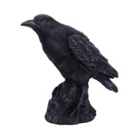 Nemesis Now Raven Messenger Figurine 25cm Figurines Medium (15-29cm)