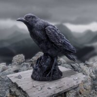 Nemesis Now Raven Messenger Figurine 25cm Figurines Medium (15-29cm) 2