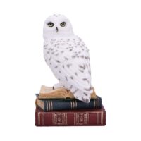 Nemesis Now Library of Wisdom White Owl Figurine 17cm Figurines Medium (15-29cm)