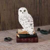 Nemesis Now Library of Wisdom White Owl Figurine 17cm Figurines Medium (15-29cm) 2