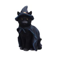 Nemesis Now Bewitching Witch Cat Figurine 18.5cm Figurines Medium (15-29cm)