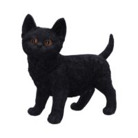 Nemesis Now Charmed Companion Black Cat Figurine 20cm Figurines Medium (15-29cm)