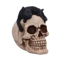 Nemesis Now Forever Friend Black Cat Skull Head 14.5cm Figurines Medium (15-29cm)