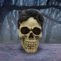Nemesis Now Forever Friend Black Cat Skull Head 14.5cm Figurines Medium (15-29cm) 2