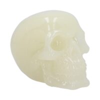 Nemesis Now Phosphorescent Glow in the Dark Skull 13cm Figurines Small (Under 15cm)