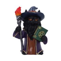 Nemesis Now Magnus Fantasy Wizard Cat Figurine Figurines Small (Under 15cm)