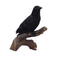 Nemesis Now Ravens Perch 20cm Figurines Medium (15-29cm)