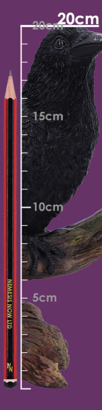 Nemesis Now Ravens Perch 20cm Figurines Medium (15-29cm) 2