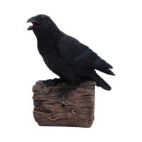Nemesis Now Ravens Cry 18cm Figurines Medium (15-29cm)